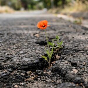 Resilience Coaching Session