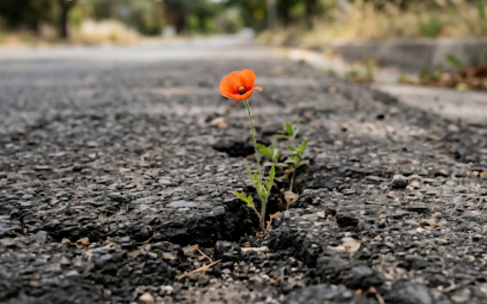 Resilience Coaching Session